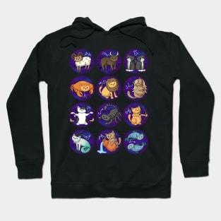 Cats of the Zodiac Hoodie